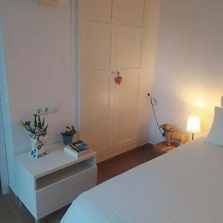 Homestay Con Jardin Y Piscina Muy Cerca De Valencia *