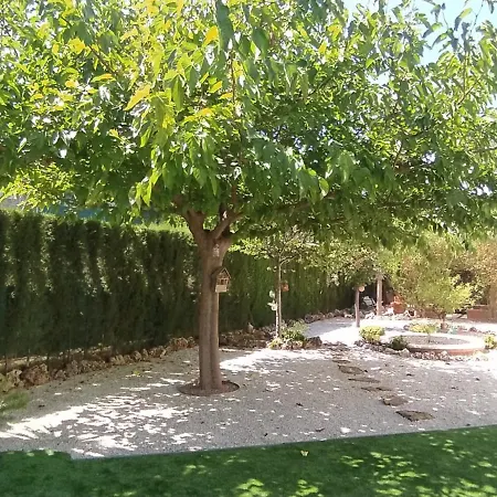 Con Jardin Y Piscina Muy Cerca De Valencia Homestay Paterna